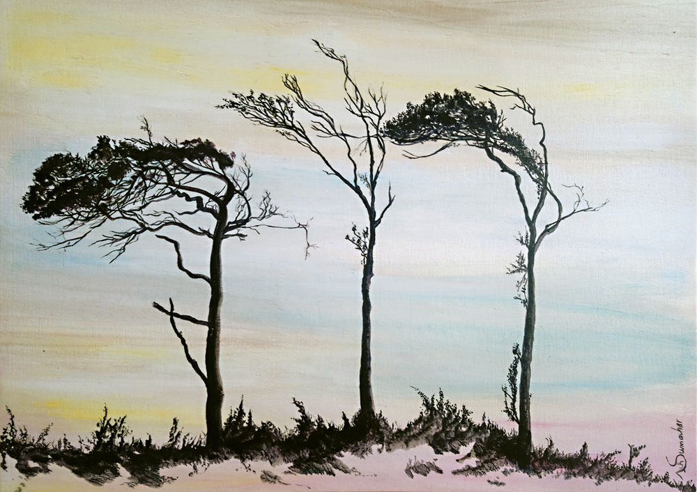 Bild: Windflüchter am Weststrand auf dem Darss, Malerei in Acryl, 56x37