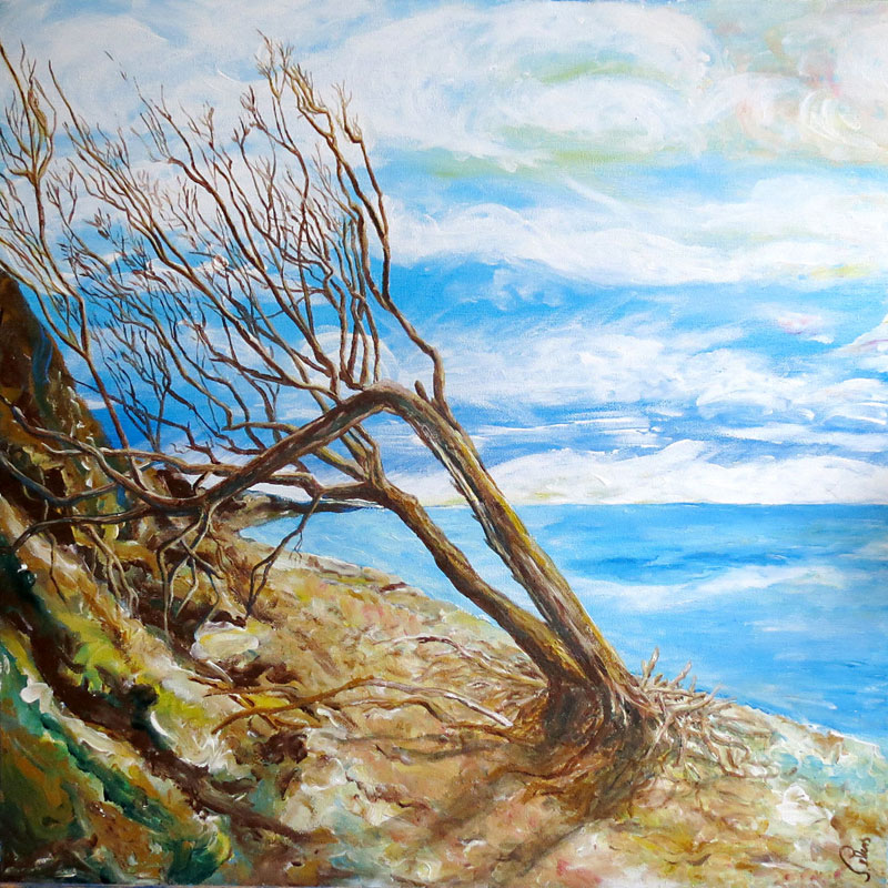 Acrylzeichnung: Toter Baum an der Steilküste in Ahrenshoop auf dem Darss, Acryl auf Leinwand, 50x50cm